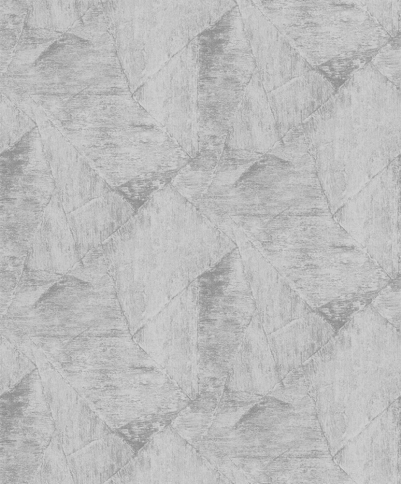 Image de Evolution - 10319-10