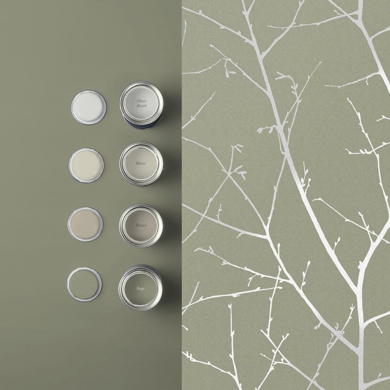 Attēls Boreas Sage - 119797