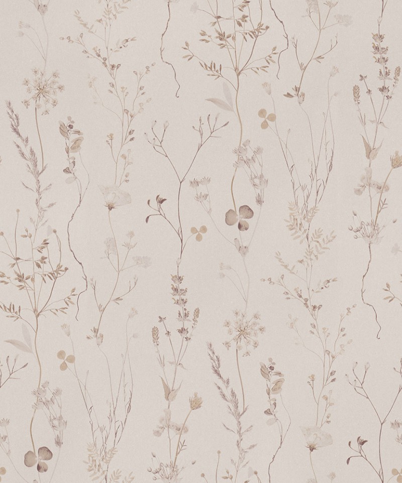 Picture of Wild flower - 221343