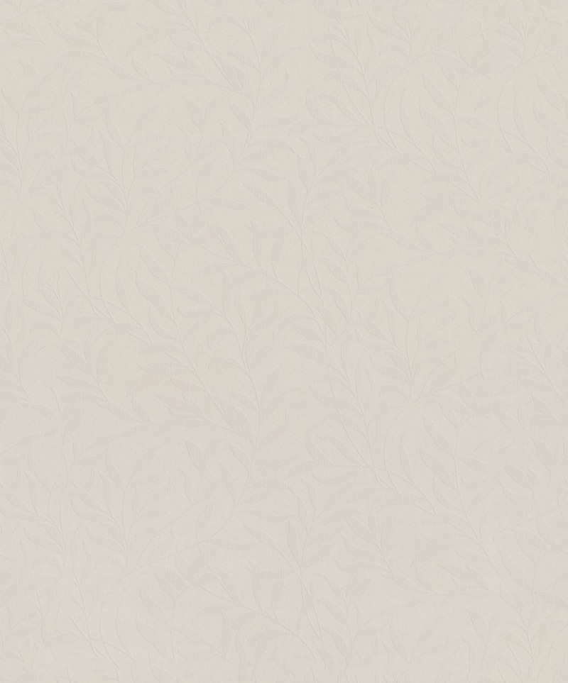 Picture of Willow - 221350