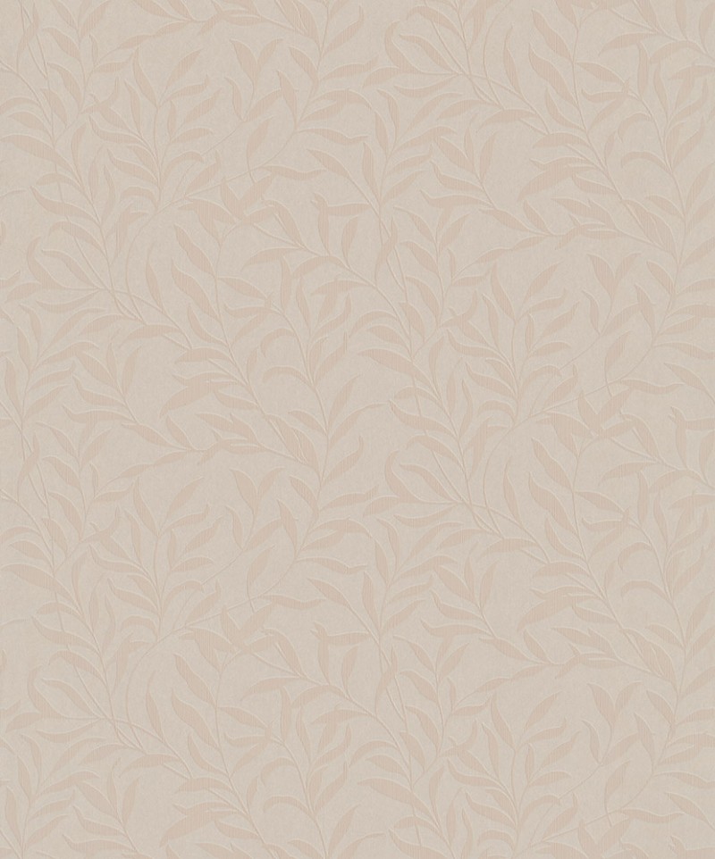 Picture of Willow - 221351