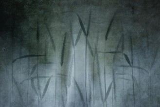 Slika Grain in soft blue