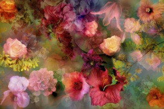 Bild på Memory of a faraway garden