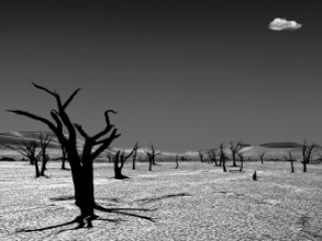 Obrazek The cloud from the dead