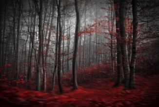 Picture of Bloody River