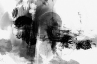 Picture of Mono Wild