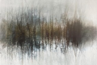 Imagen de Day dreams