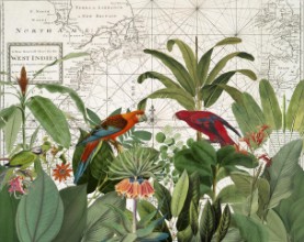 Slika Exotic Wildlife 006