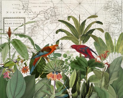 Exotic Wildlife 006 photowallpaper Scandiwall