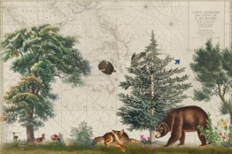 Bild von Nordic Woods 5