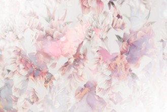 Picture of Ombre Blossom