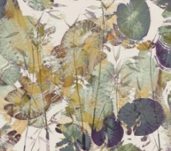 Slika Lily Impression