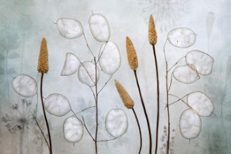 Bild på Lunaria