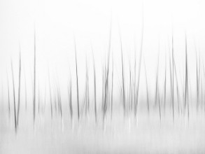 Attēls Wintry scenery in Yellowstone