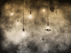 Picture of Attraction