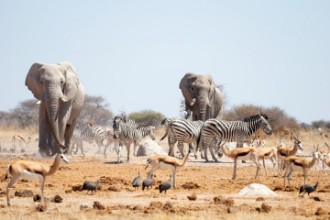 Bild på Give Way to the Heavyweights