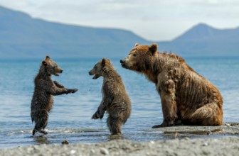 Bild på On the beach