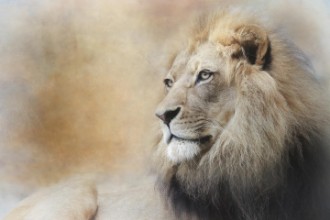 Obrázok z In Deep Thought