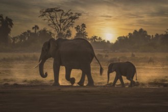 Picture of Follow me