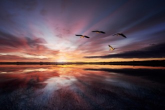 Attēls Morning mood..