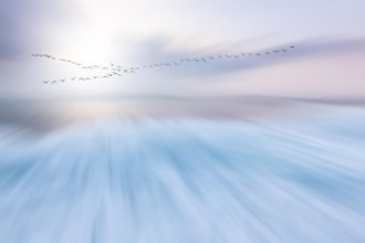 Afbeeldingen van Fly over