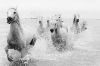 Attēls We are coming