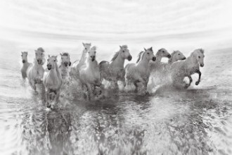 Picture of Illusion of power (13 horse power though)