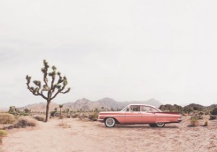 Bild von Car in the Desert