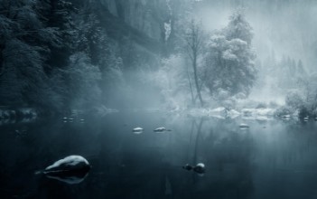 Bild på Dreamy Winter Wonderland