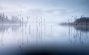 Picture of Stillness of the Lake