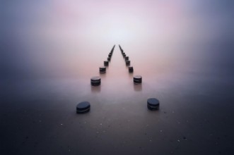 Slika Alone in the silence