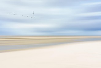 Picture of Meren rannalla III