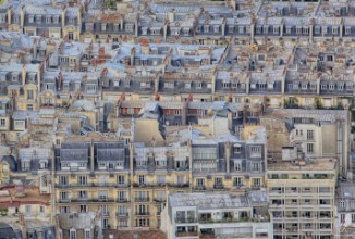 Picture of Roofs in Paris