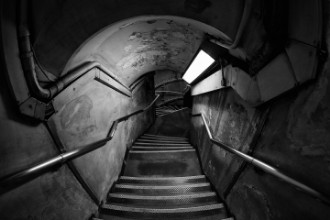 Kép Down the rabbit hole