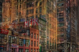 House front paveikslėlis