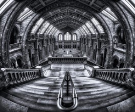 Picture of Harry Potter meets Escher and Darwin.