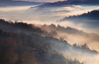 Obrazek Foggy Dawn