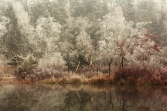 Bild vun Frozen Nature