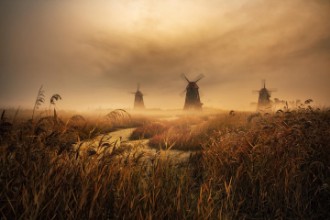 Image de A fascinating morning