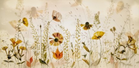 Obrazek Flowers in the Field