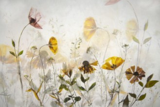 Picture of Blomsterfest