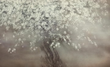 Bild på Magnoliaträd i blom