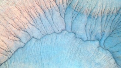 Afbeeldingen van Branches in Badlands