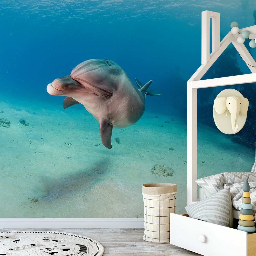 Picture of Dolphin