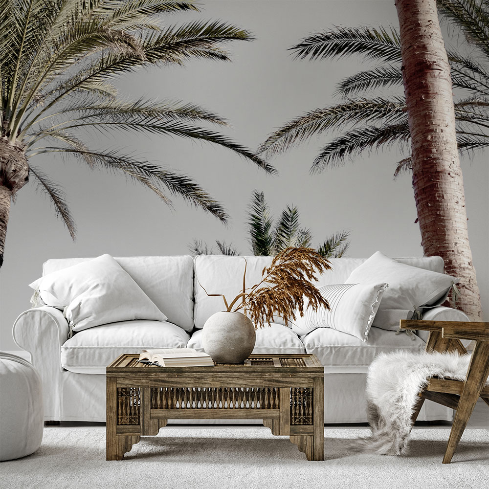 Picture of Palm_009