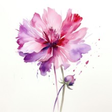 Bild på Blooming Flowers