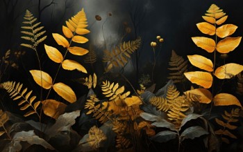 Ritratt ta’ Weraq fid-dlam