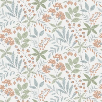 Picture of Wilma - 38753