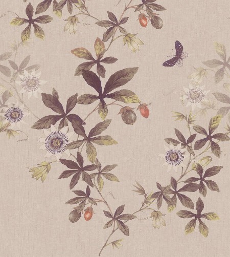 Picture of Passiflora - 539-01