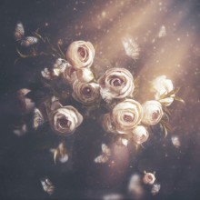 Bild på Bouquet of Purity